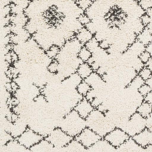 Surya Berber Shag BBE-2302 2' x 2'11" Rug