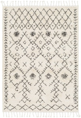 Surya Berber Shag BBE-2302 6'7" x 9' Rug