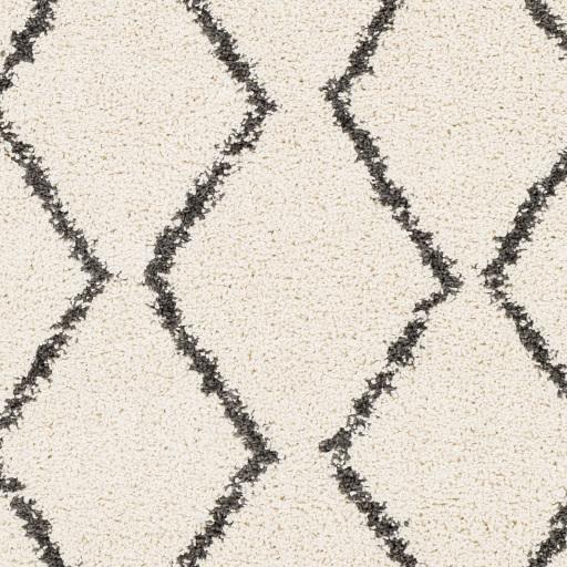 Surya Berber Shag BBE-2303 2' x 2'11" Rug