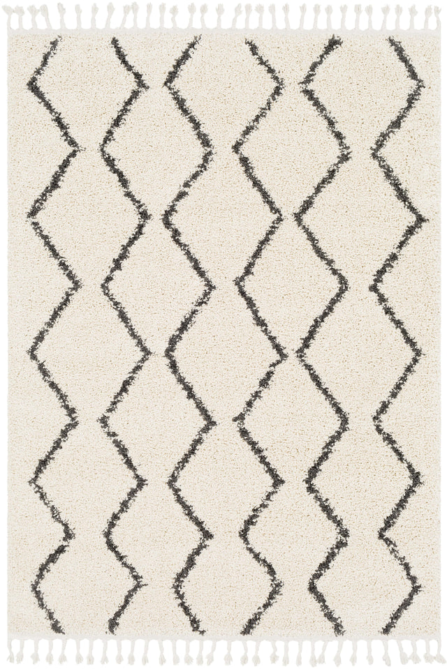 Surya Berber Shag BBE-2303 8'10" x 12' Rug
