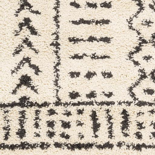 Surya Berber Shag BBE-2311 8'10" x 12' Rug