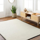 Surya Berkeley BKY-2303 2' x 3' Rug