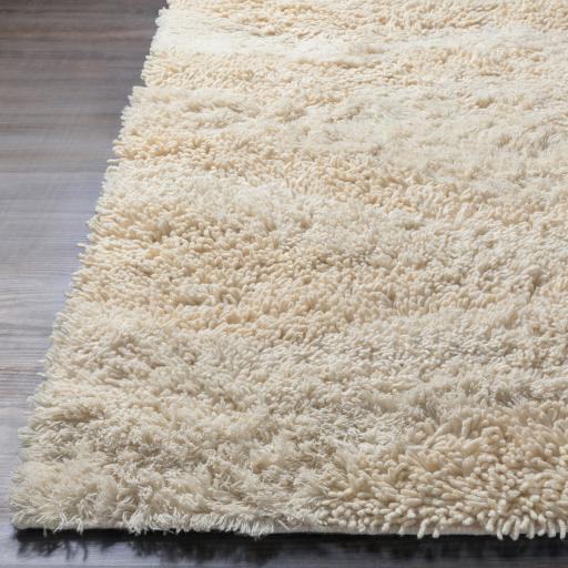Surya Berkley BRK-3300 Cream 6' x 9' Rug