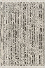 Surya Berlin BLR-2306 6'6" x 9' Rug