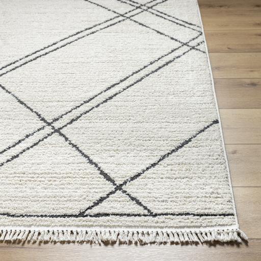 Surya Berlin BLR-2308 2'7" x 7'3" Rug