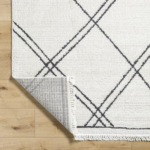 Surya Berlin BLR-2308 2'7" x 7'3" Rug