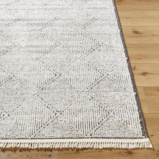 Surya Berlin BLR-2315 6'7" x 9' Rug