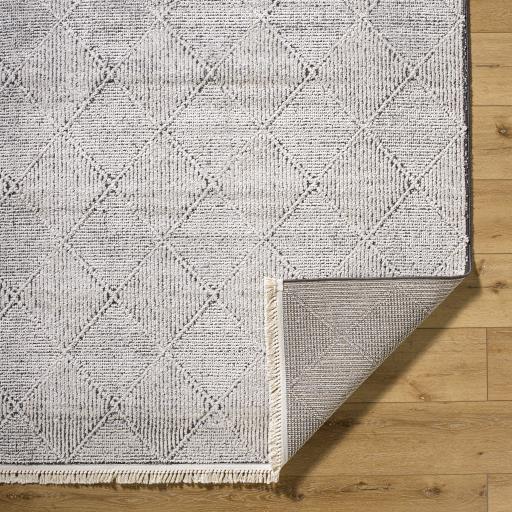 Surya Berlin BLR-2315 6'7" x 9' Rug