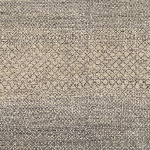 Surya Bethesda BTD-2300 Black Charcoal 8' x 10' Rug