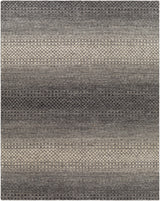 Surya Bethesda BTD-2301 8' x 10' Rug