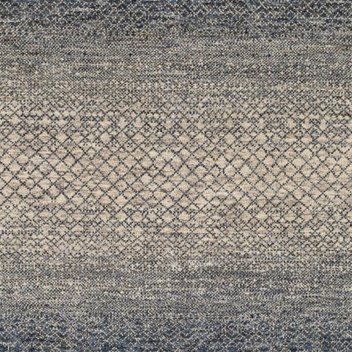 Surya Bethesda BTD-2302 Dark Blue Denim 6' x 9' Rug