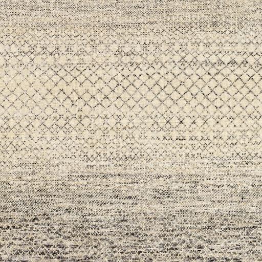 Surya Bethesda BTD-2303 Black Charcoal 8' x 10' Rug