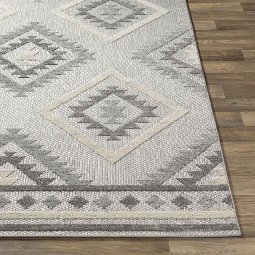 Surya Big Sur BSR-2313 5'3" x 7'3" Rug