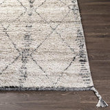 Surya Birch BHC-2302 2' x 3' Rug