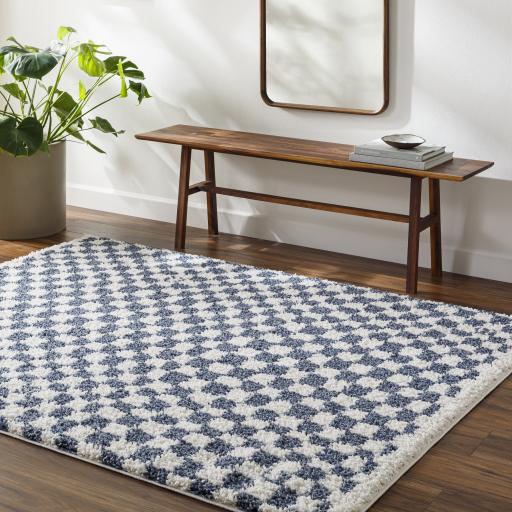 Surya Birmingham BMM-2320 6'7" x 9' Rug