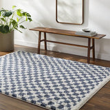 Surya Birmingham BMM-2320 6'7" x 9' Rug
