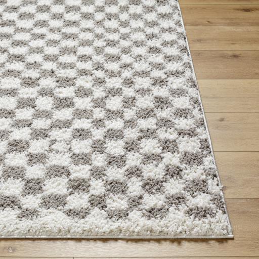 Surya Birmingham BMM-2321 Gray Ivory 7'10" x 10' Rug