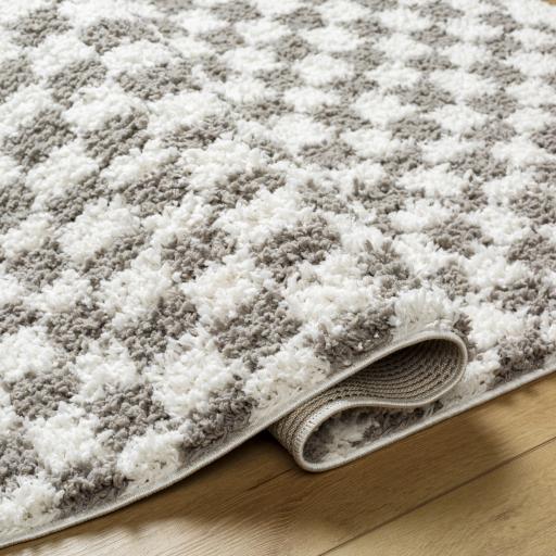 Surya Birmingham BMM-2321 7'10" x 10' Rug