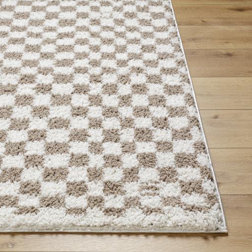 Surya Birmingham BMM-2322 7'10" x 10' Rug