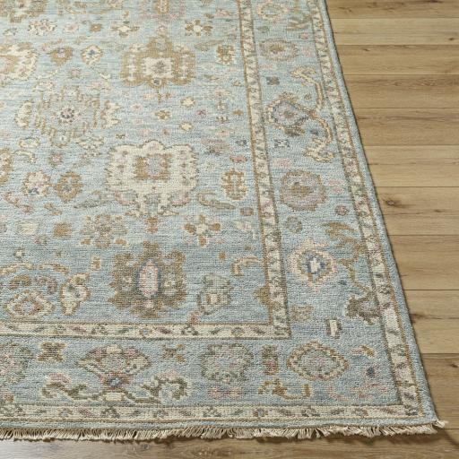 Surya Biscayne BSY-2305 9' x 13' Rug