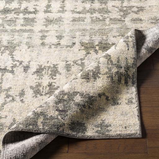 Surya Biscayne BSY-2309 Dusty Sage Ivory 4' x 6' Rug
