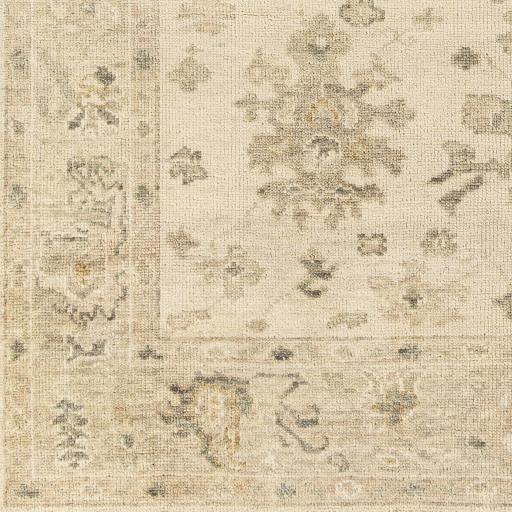 Surya Biscayne BSY-2312 Charcoal Light Beige 2' x 3' Rug