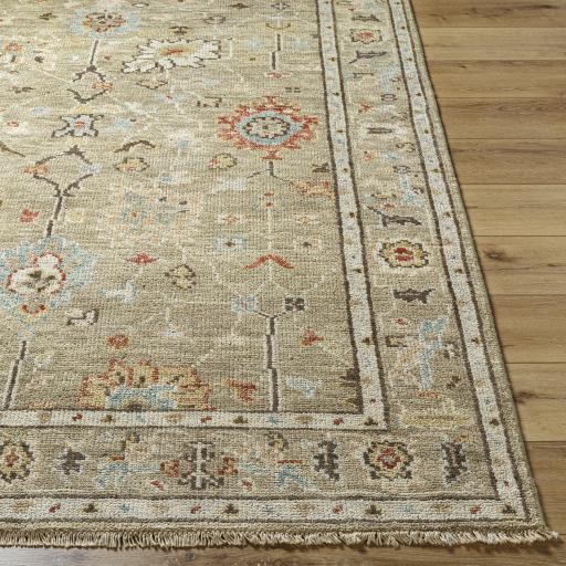 Surya Biscayne BSY-2314 Dark Brown Ivory 9' x 13' Rug