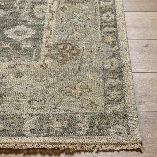 Surya Biscayne BSY-2316 Ivory Light Brown 9' x 12' Rug