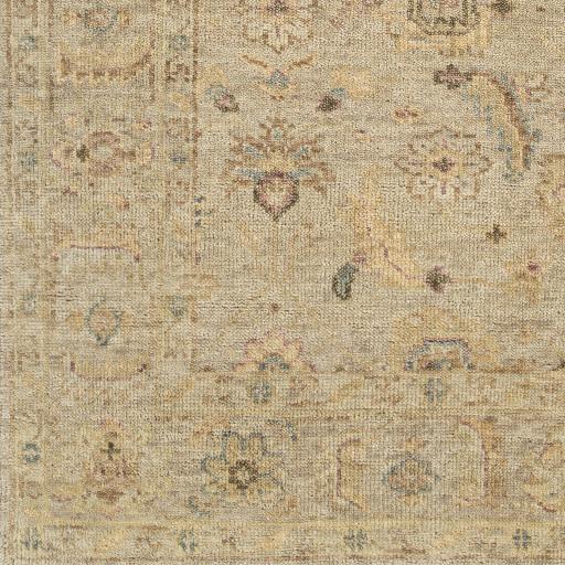 Surya Biscayne BSY-2317 Beige Ivory 6' x 9' Rug