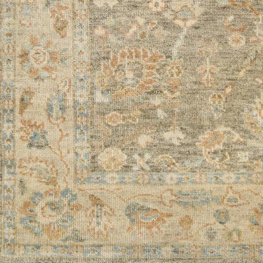 Surya Biscayne BSY-2318 Beige Ice Blue 8' x 10' Rug