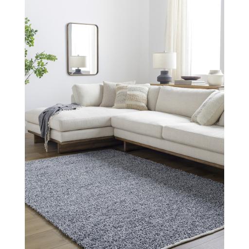 Surya Boculette BCT-2302 2' x 3' Rug