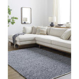 Surya Boculette BCT-2302 2' x 3' Rug