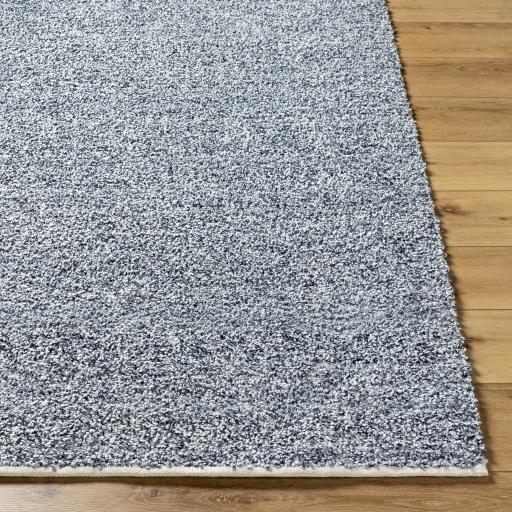Surya Boculette BCT-2302 2' x 3' Rug