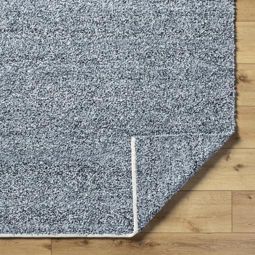 Surya Boculette BCT-2302 2' x 3' Rug