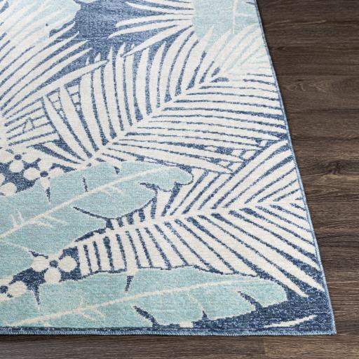 Surya Bodrum BDM-2324 5'3" x 7'3" Rug