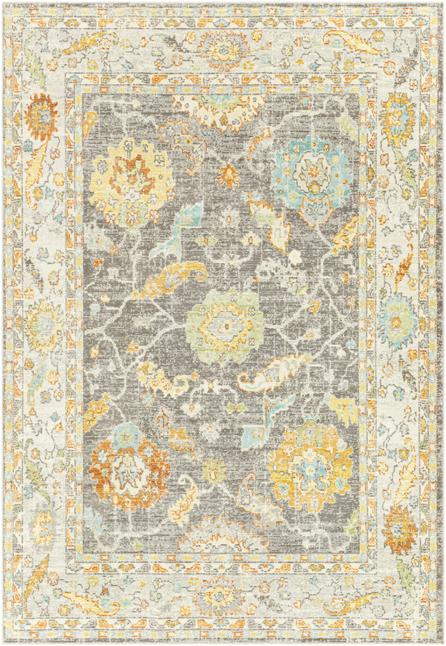 Surya Bodrum BDM-2340 8'10" x 12' Rug