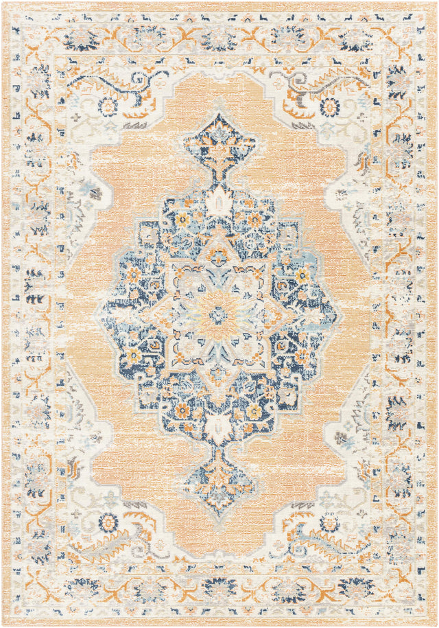 Surya Bodrum BDM-2344 8'10" x 12' Rug
