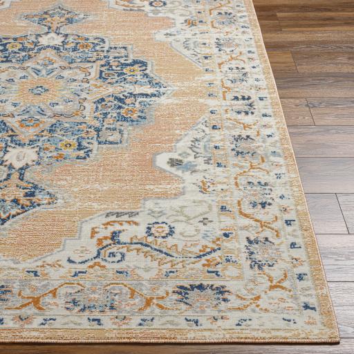 Surya Bodrum BDM-2344 8'10" x 12' Rug