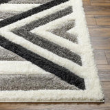 Surya Bologna BOG-2314 Black Charcoal 7'10" x 10' Rug