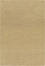 Surya Bolton BTO-2301 2' x 3' Rug