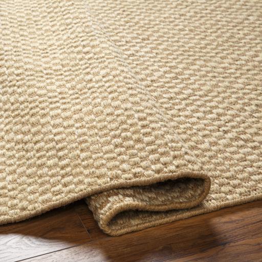 Surya Bolton BTO-2301 2' x 3' Rug