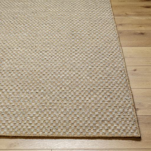 Surya Bolton BTO-2302 Cream Tan 2' x 3' Rug