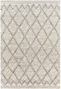 Surya Bremen BEN-2305 2' x 3' Rug