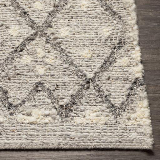 Surya Bremen BEN-2305 2' x 3' Rug