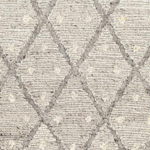 Surya Bremen BEN-2305 2' x 3' Rug