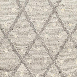 Surya Bremen BEN-2305 2' x 3' Rug