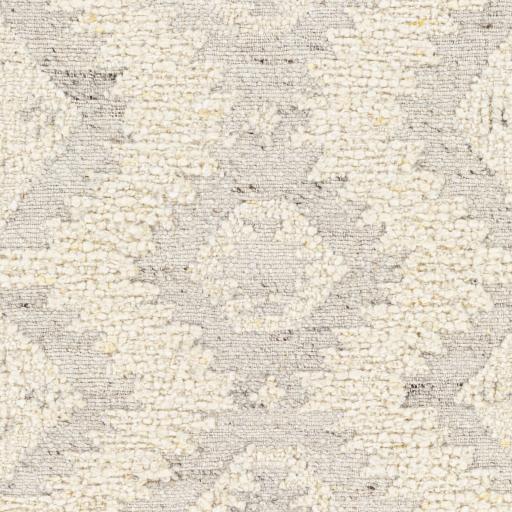 Surya Bremen BEN-2306 2' x 3' Rug