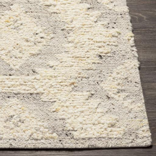 Surya Bremen BEN-2306 8' x 10' Rug