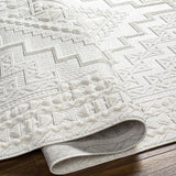 Surya Broadway BWY-2300 9'2" x 12' Rug