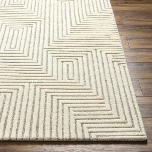 Surya Brook BKO-2313 2' x 3' Rug